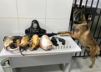 Foragido da justiça, suspeito de cometer homicídio, é preso em Brejo Grande, interior de Linhares