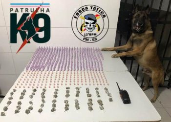 CÃO NILL – Quase 500 pinos de cocaína, mais de 100 pedras de crack e ainda maconha, são aprendidos no Santa Cruz