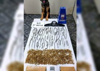 Cadela Pandora localiza tabletes e buchas de maconha, além de munições em mata de Aracruz, no bairro Marobá