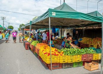 Feira livre funcionará normalmente nesta sexta (30) e sábado (31), em Linhares