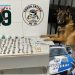“Beco do Nego Dito” cão Nill entra em ação e encontra maconha, crack e cocaína