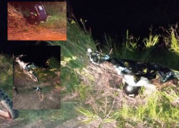 Motociclista morre após bater em vaca no trevo de Cacimbas, em Linhares