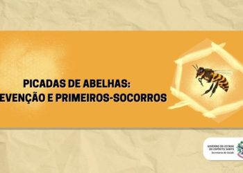 Picada de abelhas: Espírito Santo registra maior número de óbito dos últimos seis anos