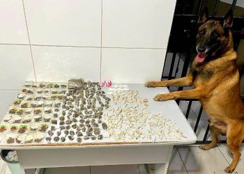 Cão Nill é chamado no Aviso e drogas são apreendidas em casa abandonada