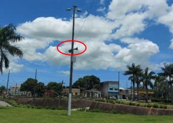 Imagem no Centro de Linhares intriga moradores e causa vários questionamentos ao Norte Notícia