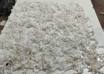 Polícia Militar tira de circulação mais de duas mil pedras de crack, em uma única apreensão