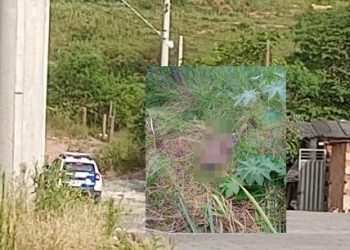 Corpo de homem encontrado em canavial, com marcas de violência é levado para Vitória