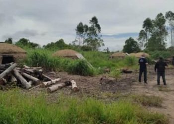 Operação contra extração ilegal de madeira prende 49 pessoas e suspende venda de carvão em 27 empresas  no Norte do ES