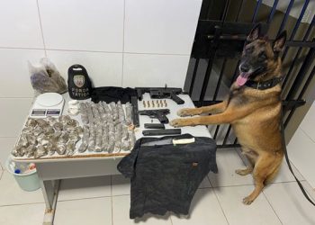 VÍDEO – Força Tática e K-9 Localizam balde enterrado com submetralhadora, pistola, munições e muita droga  no bairro Santa Cruz, em Linhares