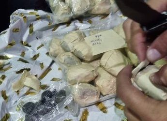 PRF apreende 1kg de cocaína, dentro de caixa, embrulhada com papel de presente,  em São Mateus -ES