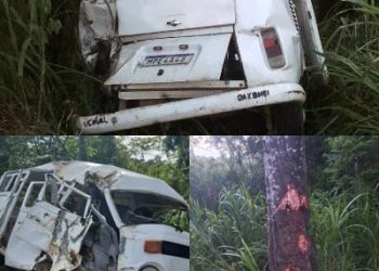 VÍDEO – Caminhão bate em traseira de Kombi, na BR 101 em Bebedouro e condutor foge sem prestar socorro