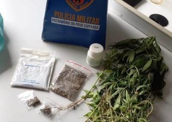 Homem é preso com plantação de maconha em casa, na orla de Aracruz