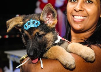Segunda edição da “Cãominhada” acontece no próximo dia 10, no bairro Três Barras
