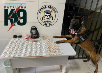 Força Tática e K-9 apreende drogas no “Pozinho”, do bairro Aviso, em Linhares