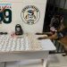 Força Tática e K-9 apreende drogas no “Pozinho”, do bairro Aviso, em Linhares