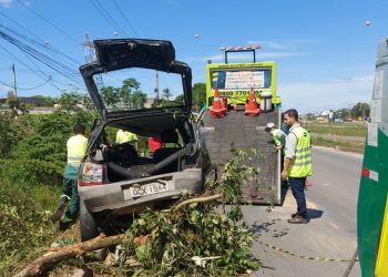 VÍDEO – Automóvel cai em ribanceira na BR-101 em Linhares