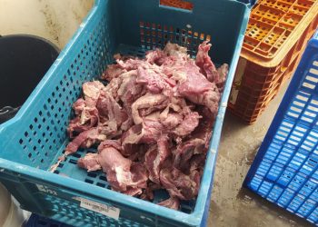 Vigilância Sanitária apreende 900 quilos de carne armazenada de forma inadequada em supermercado de Linhares
