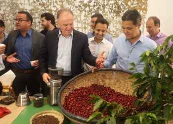 Governo lança Programa de Desenvolvimento Sustentável da Cafeicultura do Espírito Santo
