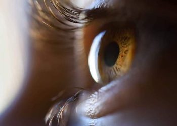 Fila para transplante de córnea triplica no ES