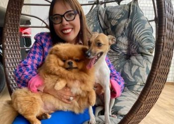 Ministério Público do ES cria Coordenação de Proteção de Defesa da Fauna