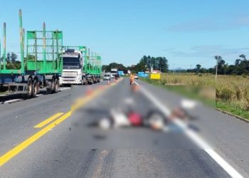 Motociclista, morador de Linhares, morre em acidente na BR-101