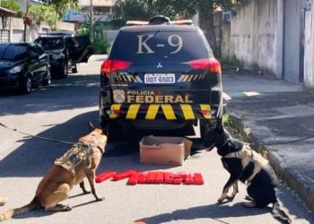 VÍDEO – Homem é flagrado com 11 quilos de maconha. A droga seria entregue via Correios