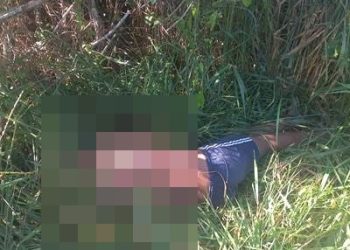 Corpo de homem com seis perfurações de disparos de arma de fogo é encontrado em propriedade no bairro Santa Cruz, em Linhares