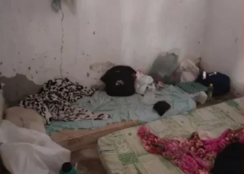 14 trabalhadores da Bahia são resgatados de situação análoga à escravidão em fazenda de café no ES