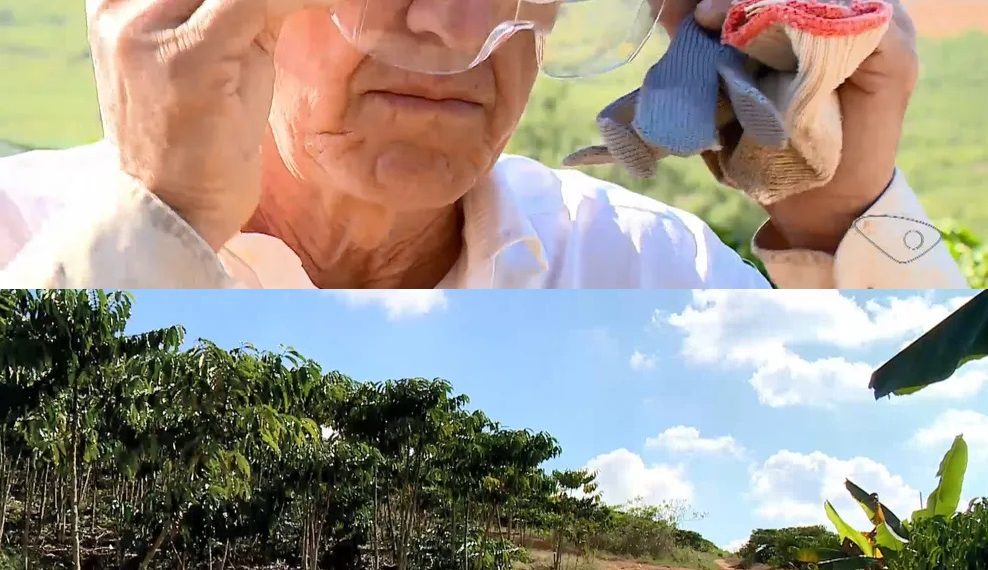 Foto: Reprodução/TV Gazeta