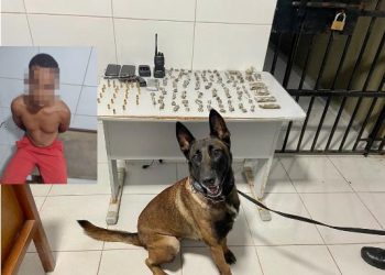 Polícia Militar apreende mais de 100 buchas de maconha, arma de fogo e farta munição, no Santa Cruz, em Linhares