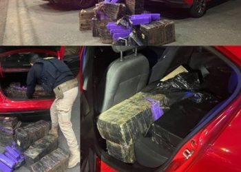 VÍDEOS – PRF do ES apreende mais de 300 quilos de maconha na BR 101