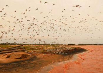 Acordo de reparação por lama no Rio Doce avança e pode sair em agosto