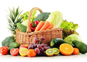 Setades oferece curso sobre segurança alimentar e nutricional