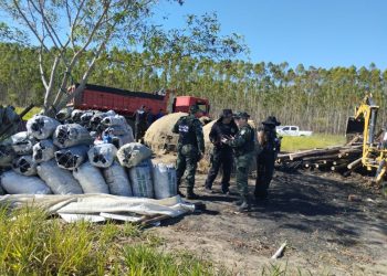 FT atua no combate ao furto de madeira e produção ilegal de carvão no Norte do ES