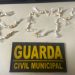 Guarda Civil Municipal apreende mais de 50 pedras de crack escondidas embaixo de lajota