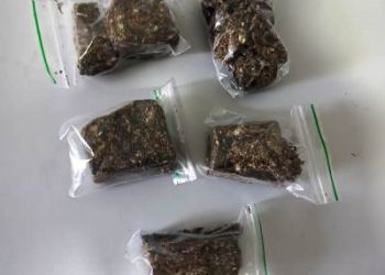 Homem é abordado pela Guarda Civil Municipal de Linhares, no Centro, e com ele são encontrados pedaços de maconha