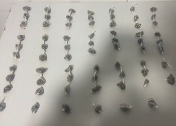 Elementos fogem da PM e deixam mais de 60 buchas de maconha para trás