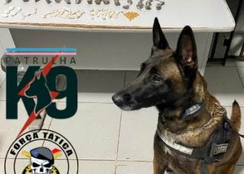 Polícia Militar apreende mais de 100 pedras de cocaína e buchas de maconha no Nova Esperança, em Linhares