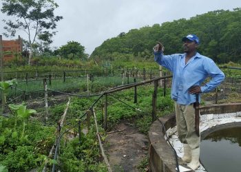 Período de adesão ao Programa Compra Direta de Alimentos está aberto aos municípios