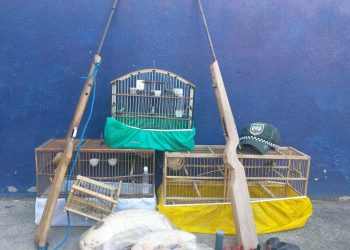 BPMA apreende armas e animais silvestres abatidos em Colatina e Linhares