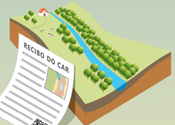 Saiba como realizar gratuitamente o Cadastro Ambiental Rural (CAR)