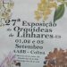 Linhares recebe em setembro 27ª exposição de orquídeas