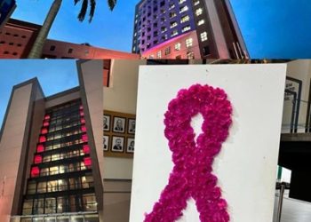 A Assembleia Legislativa entra na corrente de conscientização e Combate ao Câncer de Mama