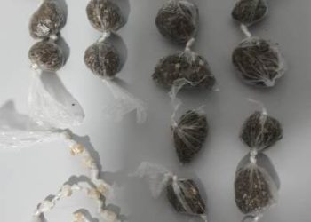 Apreensão de crack e maconha, em residência próximo ao “Tomatão”, no Planalto, em Linhares