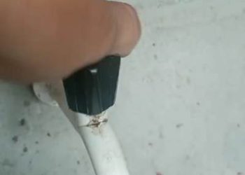 Água? “Que situação de Linhares, cidade das águas. Cadê prefeito? Que vergonha! Eu tinha vergonha de ser prefeito, eu mudava da cidade e largava a prefeitura”. Diz moradora revoltada