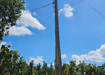 Ação da Polícia e da EDP flagra furto de energia elétrica em propriedades rurais de São Mateus