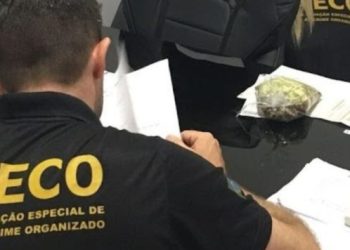 Gaeco-Norte e Promotoria de Justiça de Linhares divulgam balanço da Operação “Grande Família”