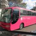 Ônibus rosa da Lei Maria da Penha está em Linhares hoje, sábado dia 25