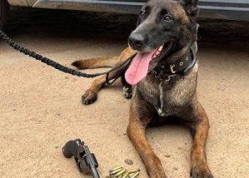 Força Tática cumpre mandado de prisão no bairro Planalto,  em Linhares e apreende revólver e munições