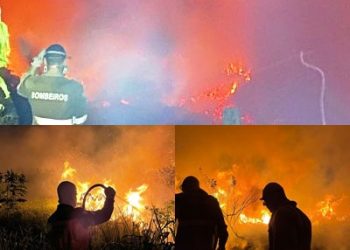 Vídeos – Incêndio de grandes proporções atinge área de vegetação próximo a rodovia que liga São Mateus e Guriri